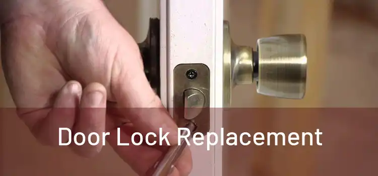  Door Lock Replacement 